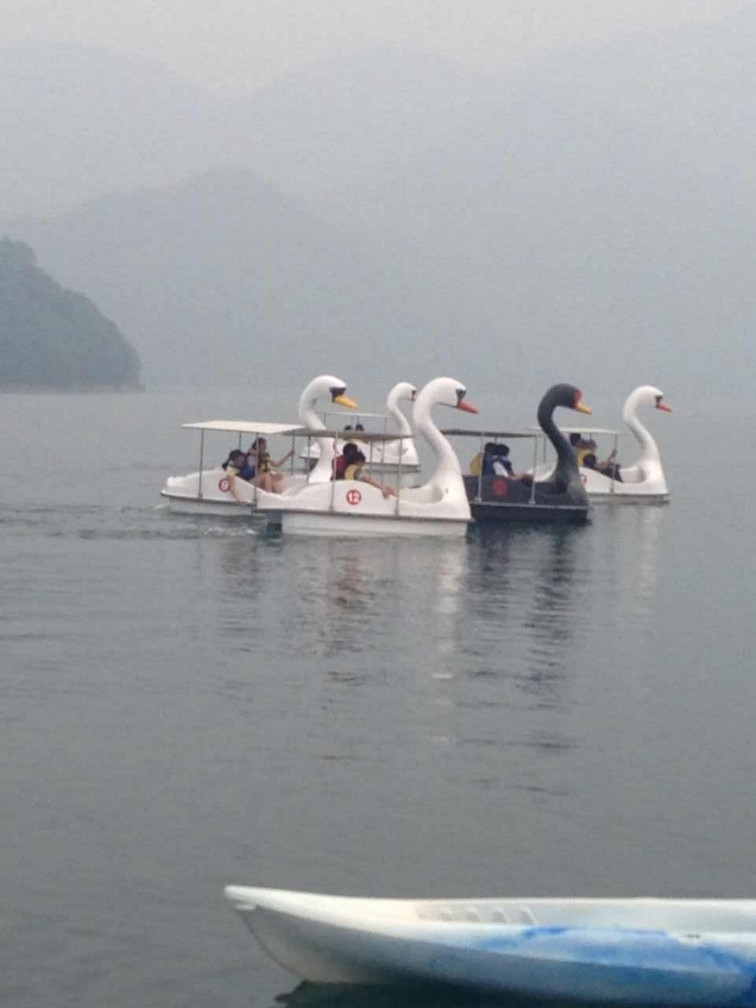 點(diǎn)擊放大 2人天鵝腳踏船